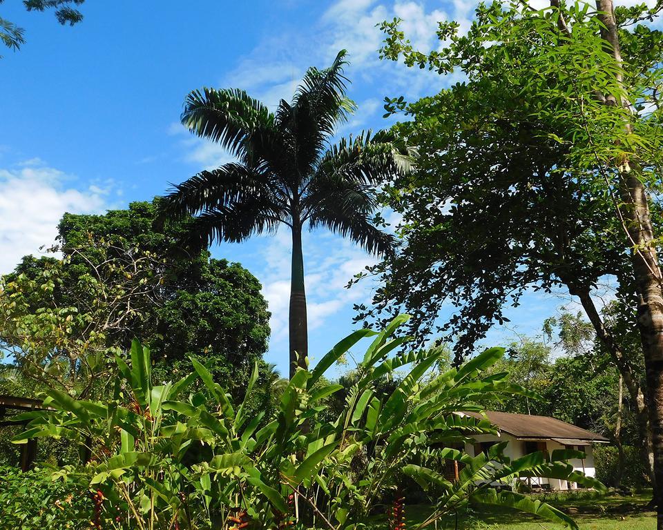 Green Corner กาอุยตา ภายนอก รูปภาพ