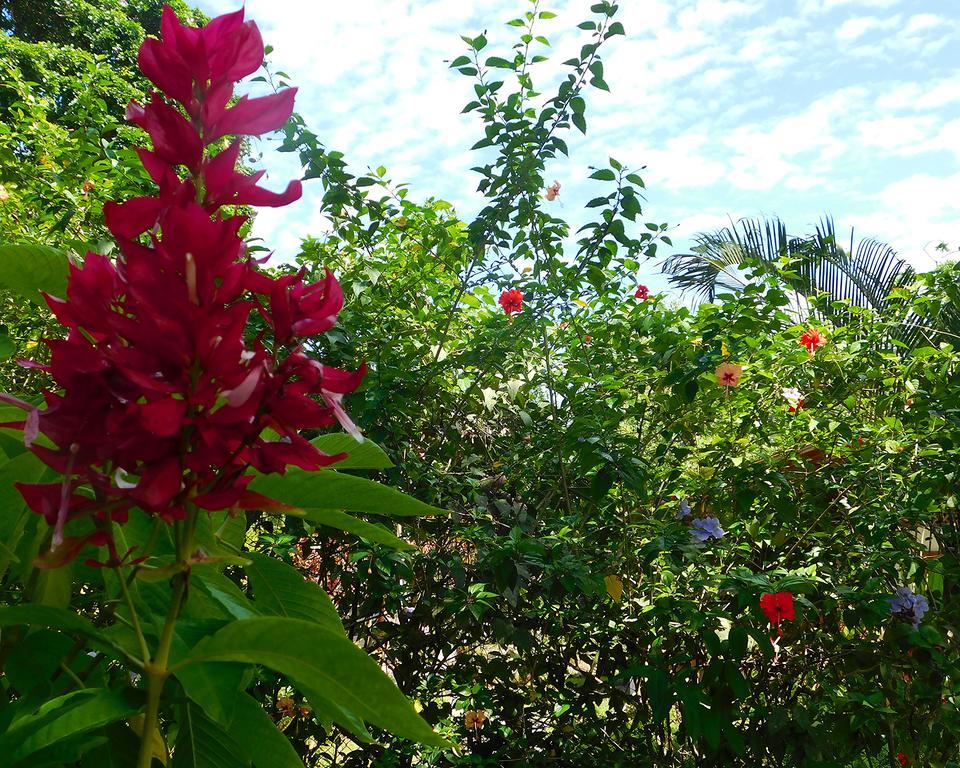 Green Corner กาอุยตา ภายนอก รูปภาพ